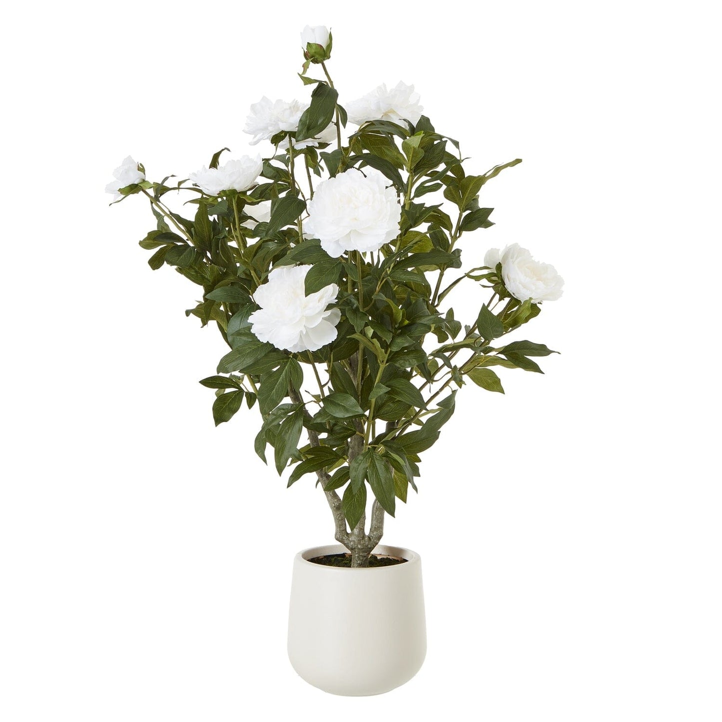 XL White Faux Peony Bush Potted Plant